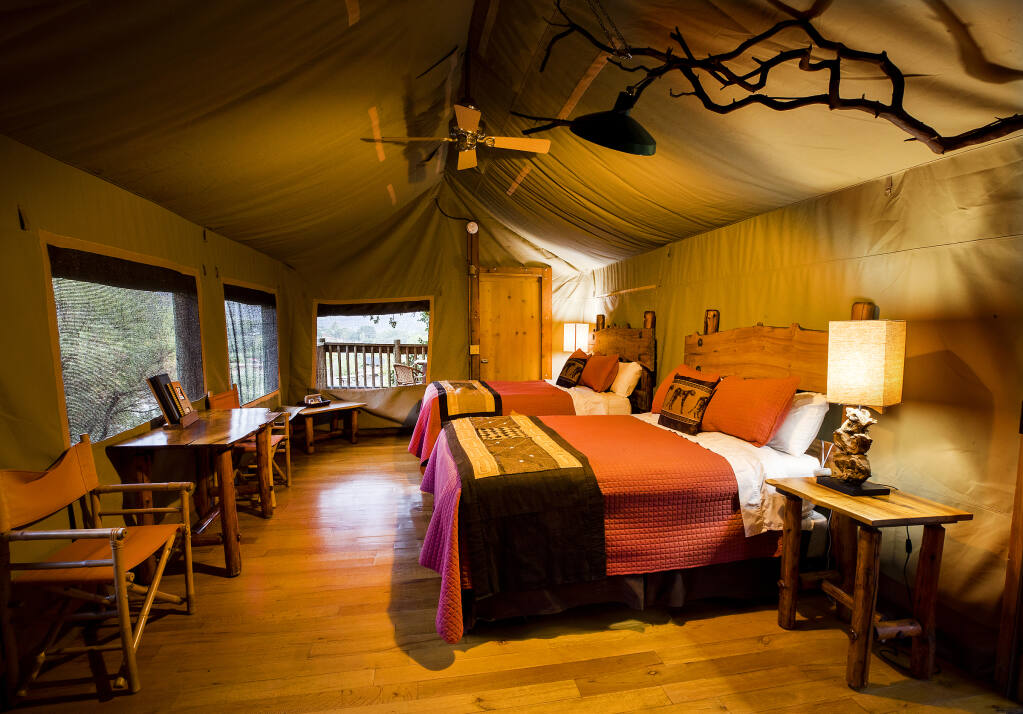 The glamping tent cabins at Safari West are imported from Botswana, then custom-built with native wood furniture made on the property. (Photo by John Burgess/The Press Democrat)