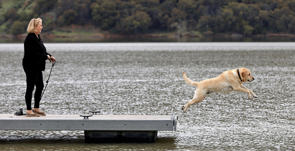 Marley the dog retrieves a stick thrown by Kristen Olsson from Cupertino, a past resident of Sonoma County, at the public boat launch at the completely full Lake Sonoma, Friday, March 31, 2023. (Kent Porter / The Press Democrat) 2023