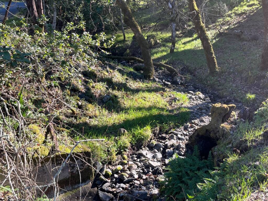 A stream once rushing in December dried up on Feb. 7 in the Oakmont development in the Sonoma Valley. Photo by Susan Wood