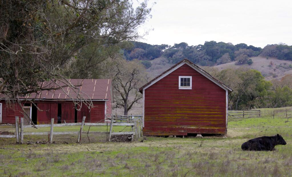 The Scott Ranch barns in Helen Putnam Park got new roofing from funds raised by the Kelly Creek Protection Project. (CRISTINA PASCUAL/ARGUS-COURIER STAFF)