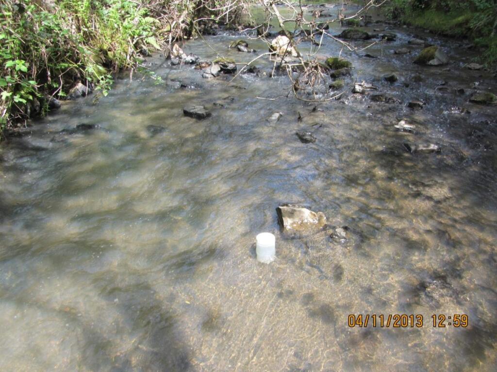 Sediment discharge from a vineyard pond is seen in Salmon Creek downstream from the runoff. (North Coast Regional Water Quality Control Board)