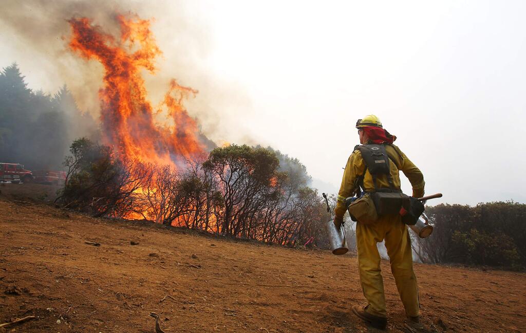 A firefighter from the Toulomne-Calaveras Cal Fire Unit watches as brush catches fire from setting a blackline, from the holding line to the oncoming fire, in order to create a buffer at the northeast corner of the Lodge Complex Fire, north of Laytonville on Monday, Aug. 11, 2014. (Christopher Chung / The Press Democrat)