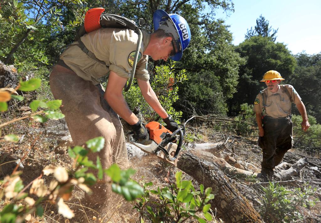 California Conservation Corp. sawyer Christian Echevarria, left, clears away oak trees killed by Sudden Oak Death (SOD) at Jack London State Park in Glen Ellen. At right is his supervisor Daniel White. (Kent Porter / Press Democrat, file)
