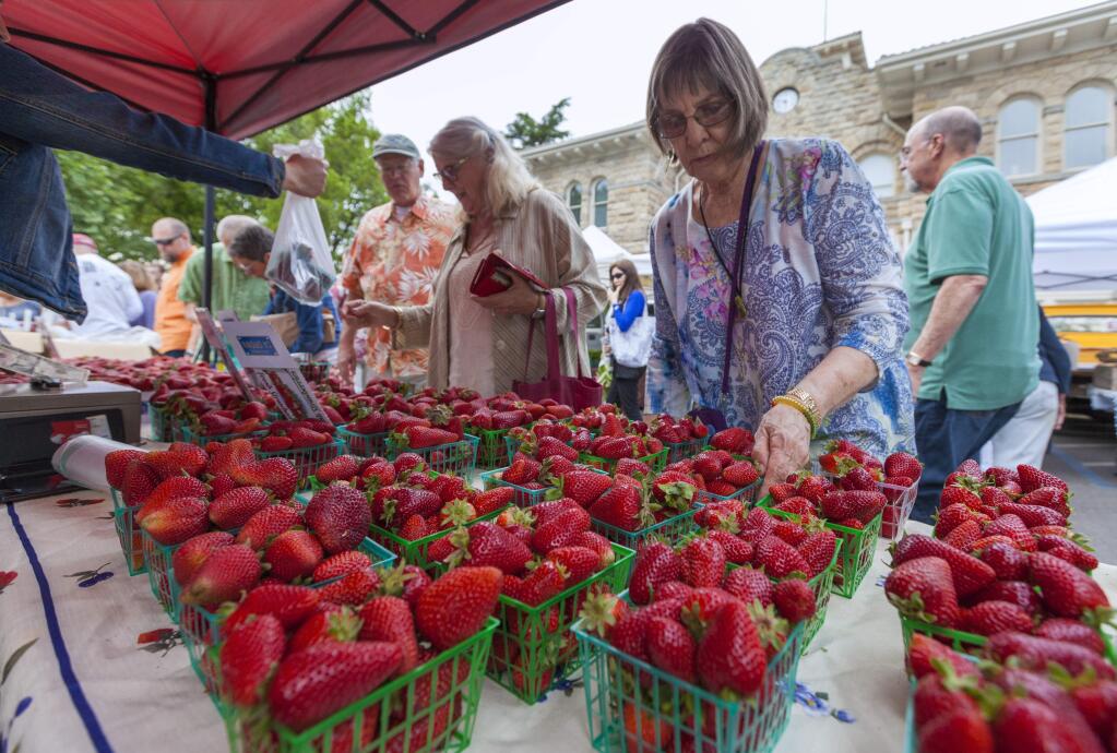 Patty Lust makes her selection of organic strawberries at Sonoma Plaza's first Tuesday Farmers Market of the season on 3 May. (Photos by Robbi Pengelly/Index-Tribune)