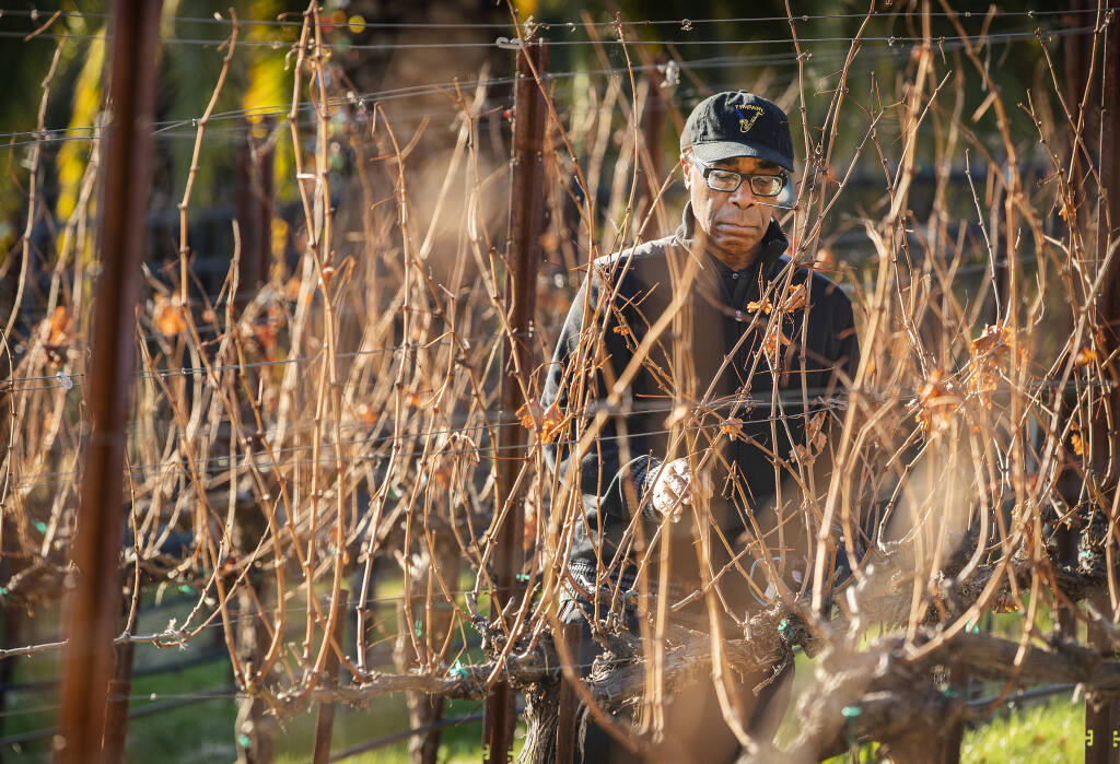 Louis Jordan, co-owner of Tympany Vineyards, in his Healdsburg vineyard where he field blends his cabernet with rows of Malbec and cabernet franc and produces about 100 cases of wine per year.  (John Burgess/The Press Democrat)