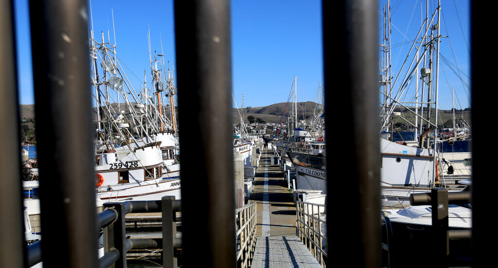 Activity around the Bodega Bay crab fishing fleet is at a minimum, Tuesday, Jan. 5, 2021, at Spud Point Marina in Bodega Bay. Negotiations are underway for the wholesale price per pound. (Kent Porter / The Press Democrat) 2021