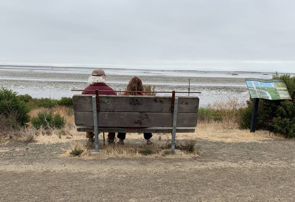 BENCH WARMERS: A couple watch the marsh at Sears point Ranch, on a foggy Saturday morning. (Photos by David Templeton).