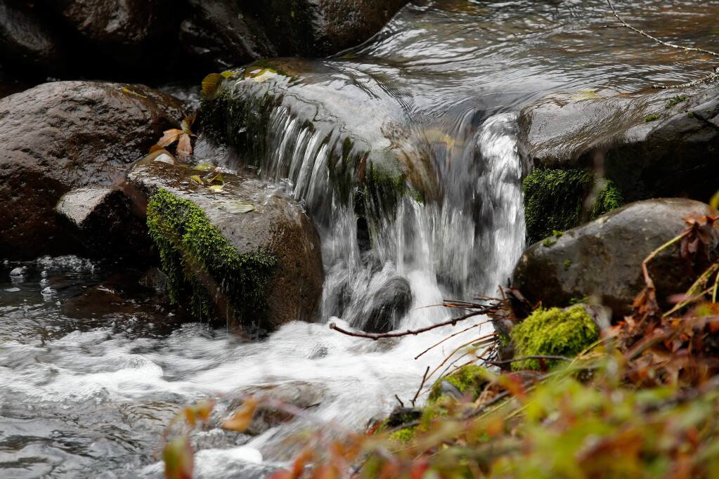 Water flows along a branch of Mark West Creek at the 47-acre proposed site of the Mark West Regional Park and Open Space Preserve in Santa Rosa, California on Thursday, December 8, 2016. (Alvin Jornada / The Press Democrat)