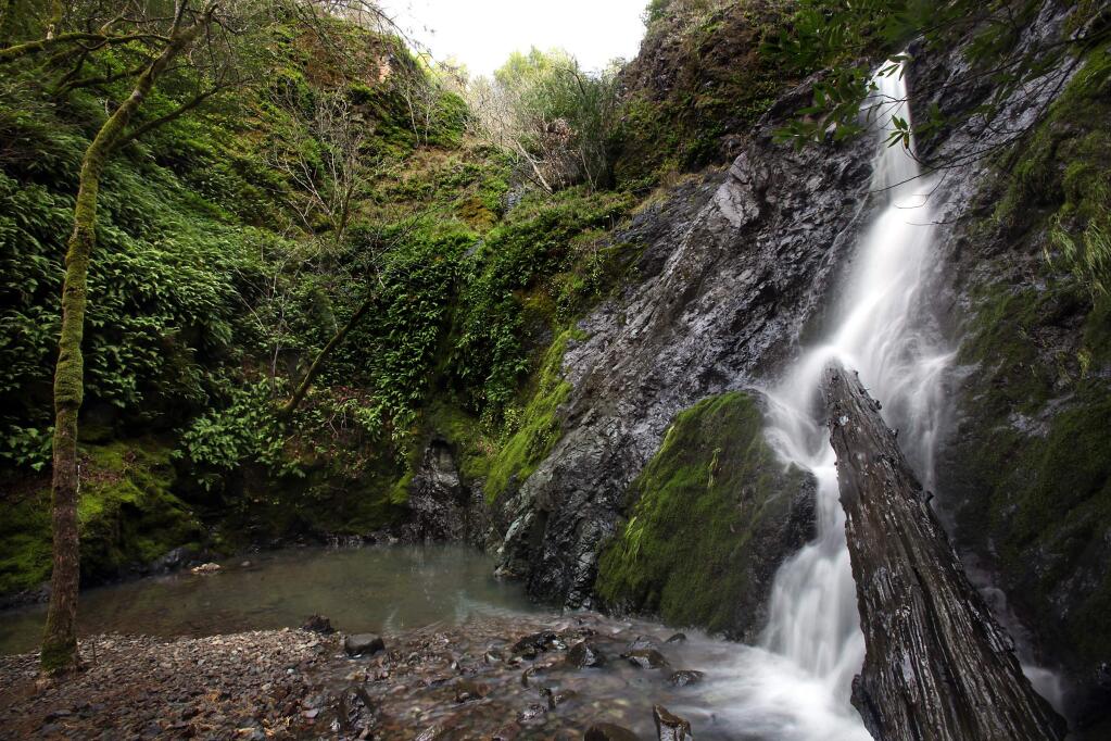 Sonoma County is home to a few refreshing waterfalls, but one of the most beautiful is located at the Bohemia Ecological Preserve near Occidental. This waterfall is so secret, the only way to reach it is through a guided hike with LandPaths through the property. Find out the details at landpaths.org. (John Burgess / Press Democrat)