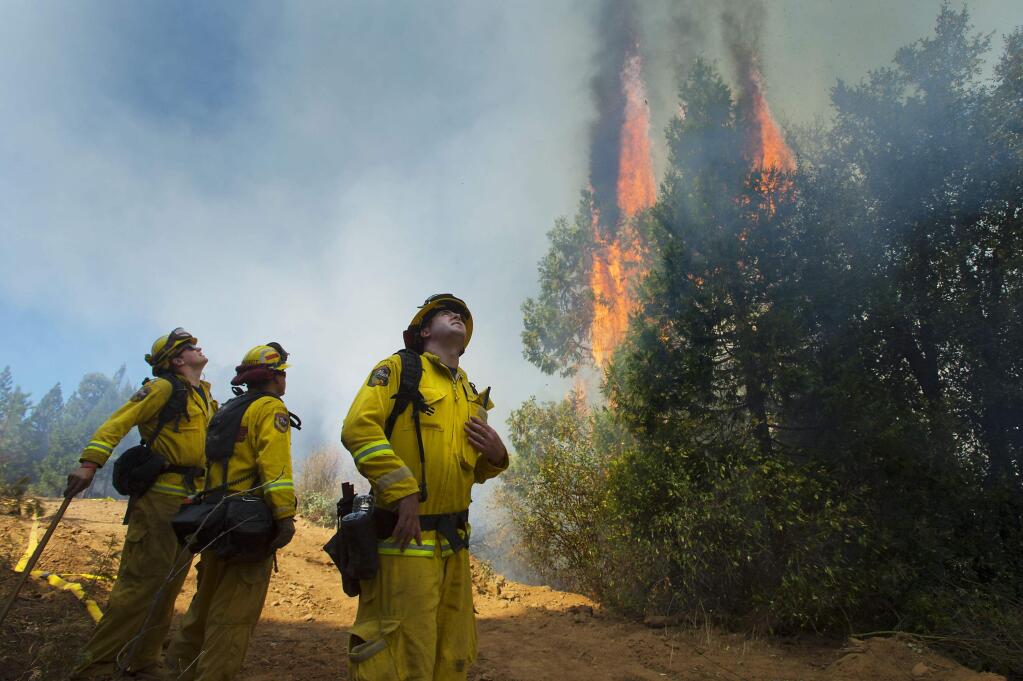 Cal Fire strike crews battle the King Fire in El Dorado County near Fresh Pond, Calif. on Wednesday, Sept. 17, 2014. (AP Photo/The Sacramento Bee, Randall Benton)