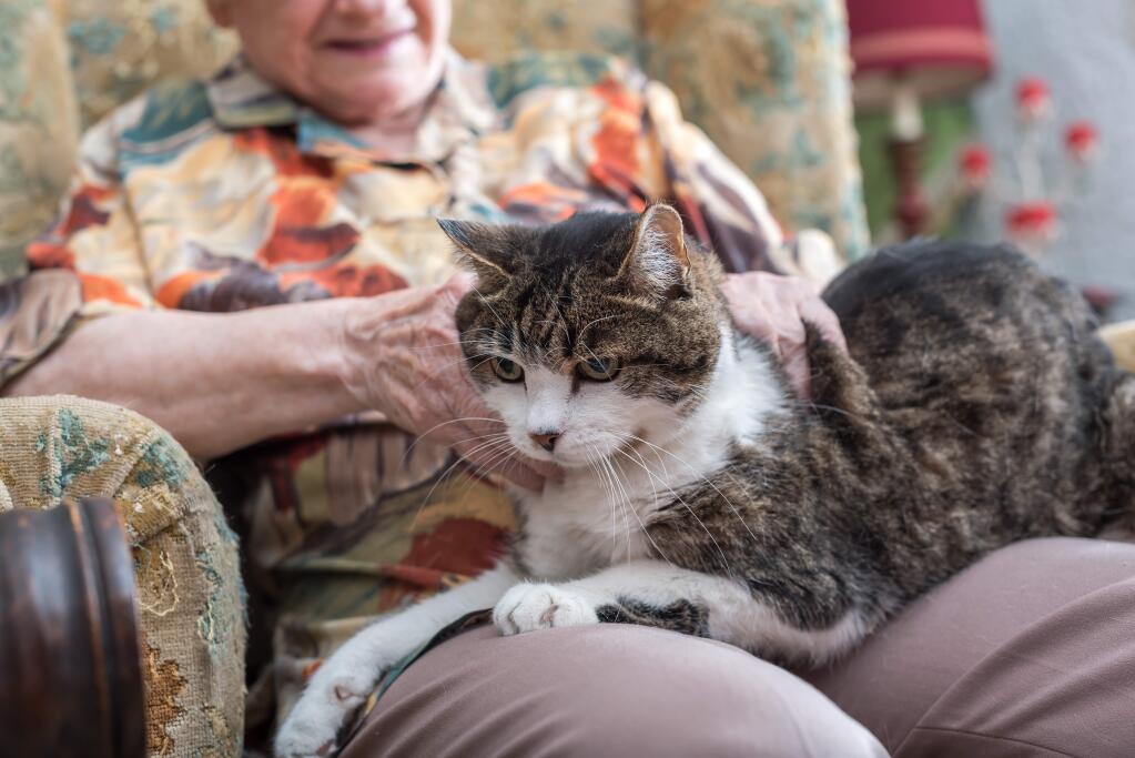 New program pairs senior humans with senior pets