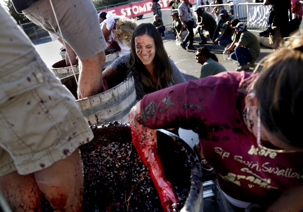 Sarah Healy, center, and Wendy Vizcaino, right, use their hands to keep juice flowing out of the tap and into jugs as their husbands Luke Healy and Angel Vizcaino stomp on grapes during the World Championship Grape Stomp during the Sonoma County Harvest Fair at the Sonoma County Fairgrounds in Santa Rosa, on Sunday, October 4, 2015. (BETH SCHLANKER/ The Press Democrat)