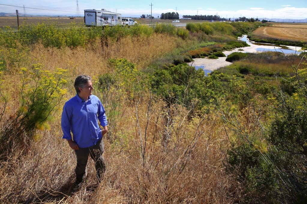 Fraser Shilling co-director of the Road Ecology Center has identified the stretch of Highway 37, east of Sonoma Raceway, as a wildlife crossing hot spot.(Christopher Chung/ The Press Democrat)