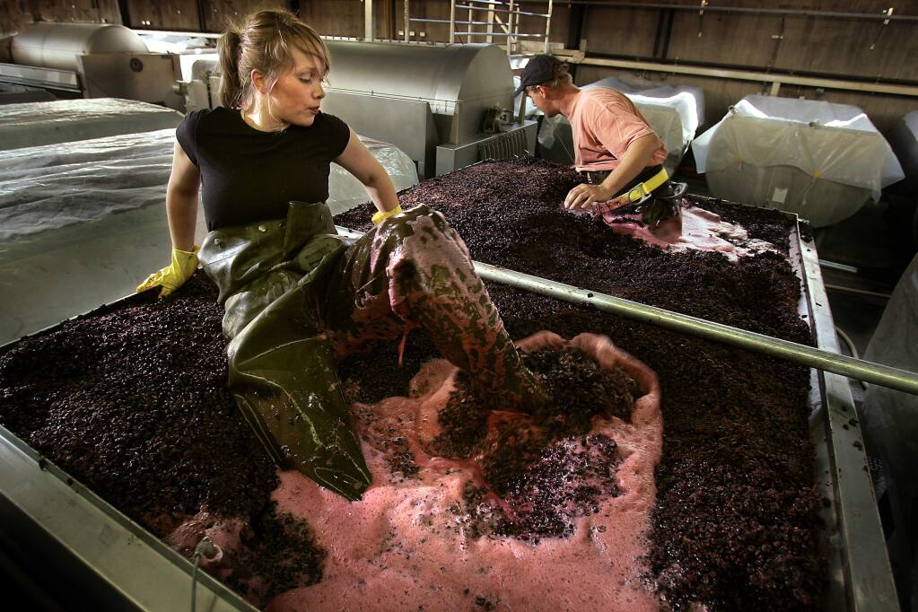 …SOMEONE IS WAIST DEEP IN GRAPES SOMEWHERE. Debra Peterson and John Lundblad punch down Pinot Noir skins at the Russian River winery. (John Burgess/ The Press Democrat, 2006)