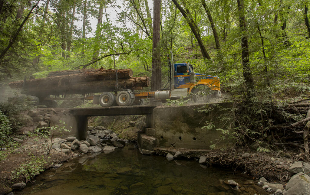 A logging truck travels through Felta Creek Road property, May 23, 2022. Lucy Kotter, organizer, Friends of Felta Creek, has been monitoring damage along Felta Creek Road caused by logging trucks coming off the once forested hill owned by Ken Bareilles (Chad Surmick / The Press Democrat)