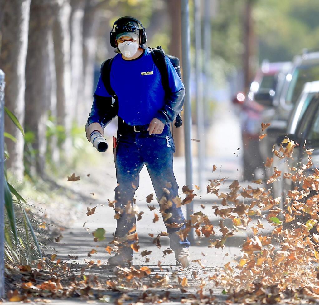 Cesario Contreras of Waldron Landscape, uses a gas powered leaf blower to round up sycamore leaves behind Sonoma Valley Hospital in Sonoma, Tuesday Sept. 29, 2015. (Kent Porter / Press Democrat) 2015