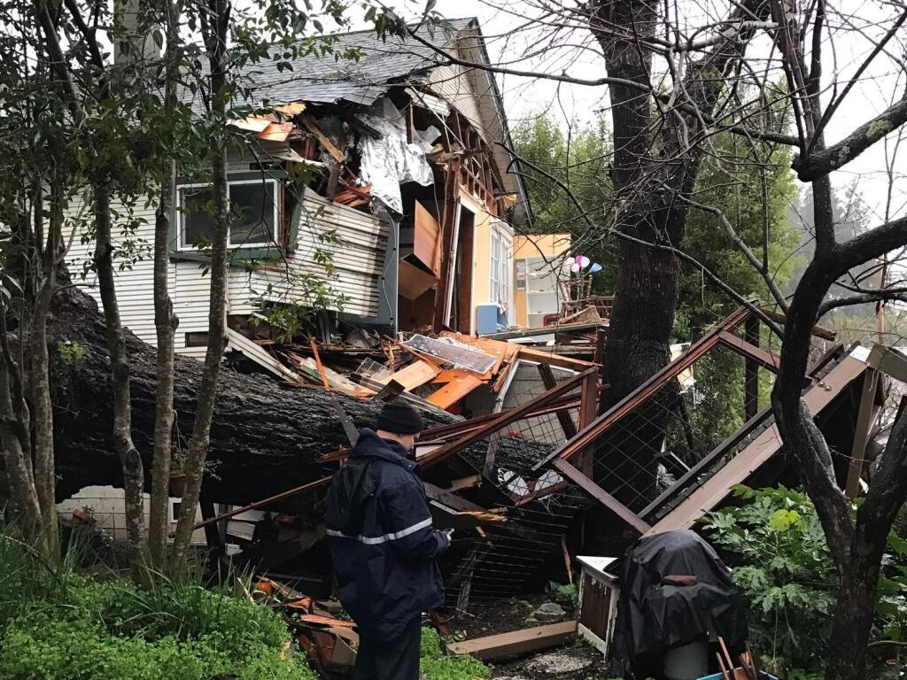 A large tree fell into a house on Vine Avenue in Sebastopol early Tuesday, Feb. 7, 2017. No one was injured but the back half of the house was destroyed, according to fire officials. (COURTESY OF SEBASTOPOL FIRE CHEF BILL BRAGA)