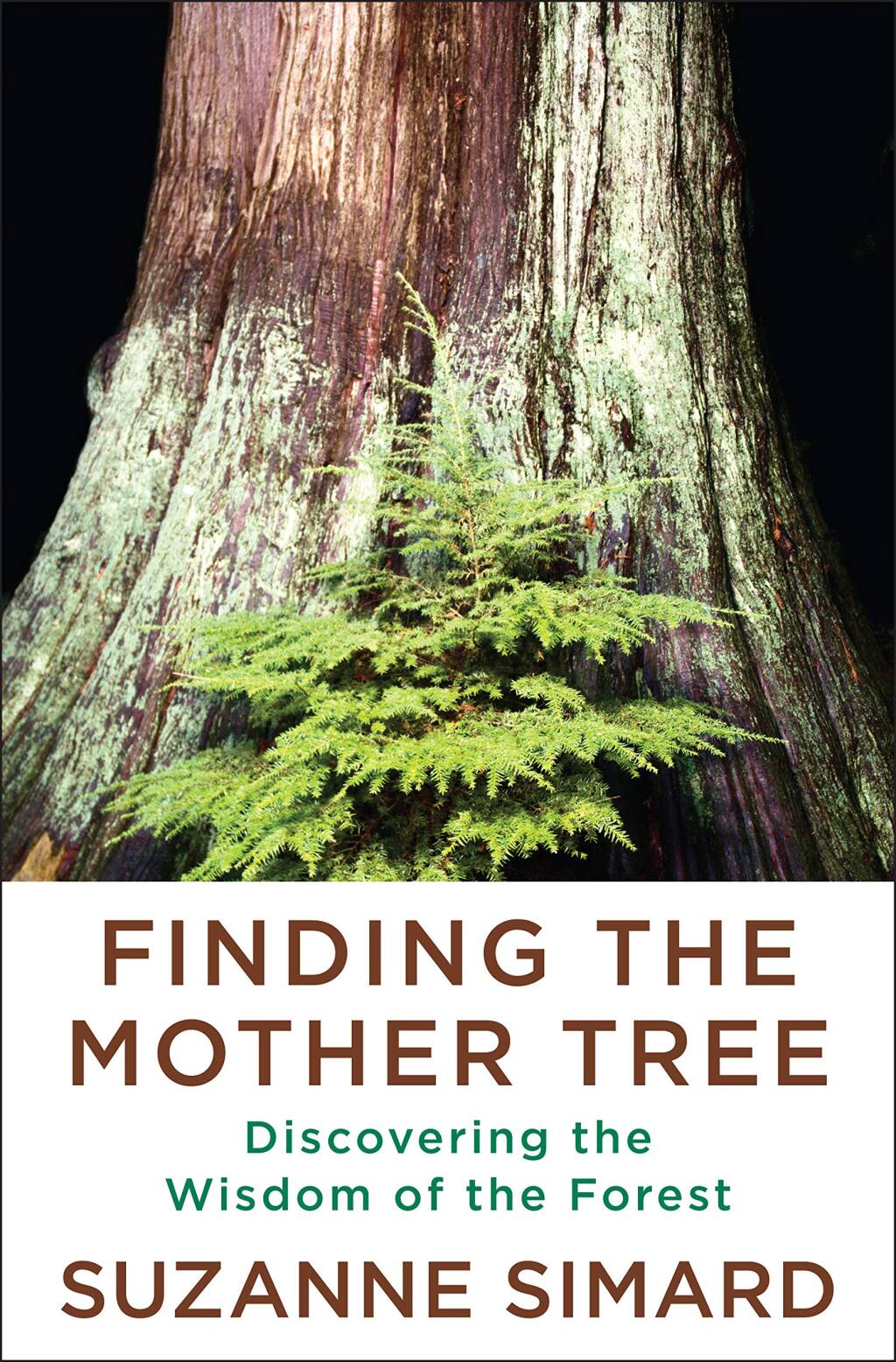 “Finding the Mother Tree,” by Suzanne Simard, is the No. 4 bestselling book in Petaluma this week (KNOPF BOOKS).
