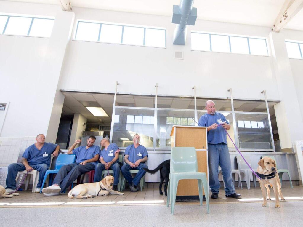 Seven Sonoma County Jail inmates demonstrated what they taught four future service dogs to do at a graduation ceremony at the North County Detention Center. (COURTESY OF DANIEL VALLELUNGA)