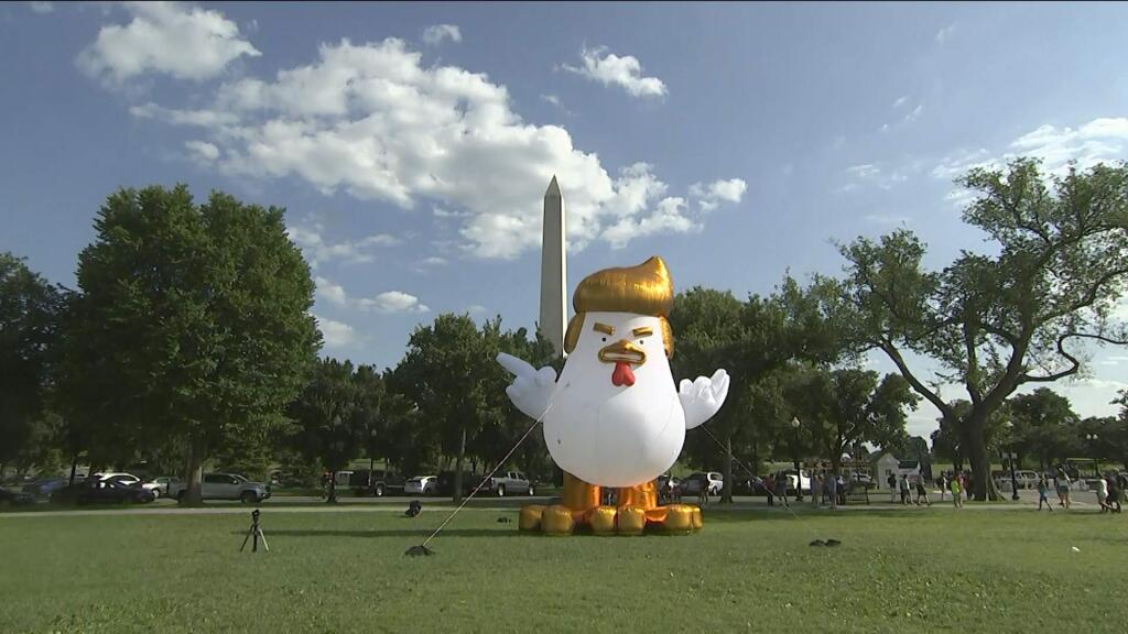 This image from video, shows a inflatable chicken on the Ellipse, just south of the White House in Washington, Wednesday, Aug. 9, 2017. The giant inflatable chicken bearing the unmistakable hairstyle of the commander in chief transfixed tourists and television cameras in the nation's capital. (AP Photo)