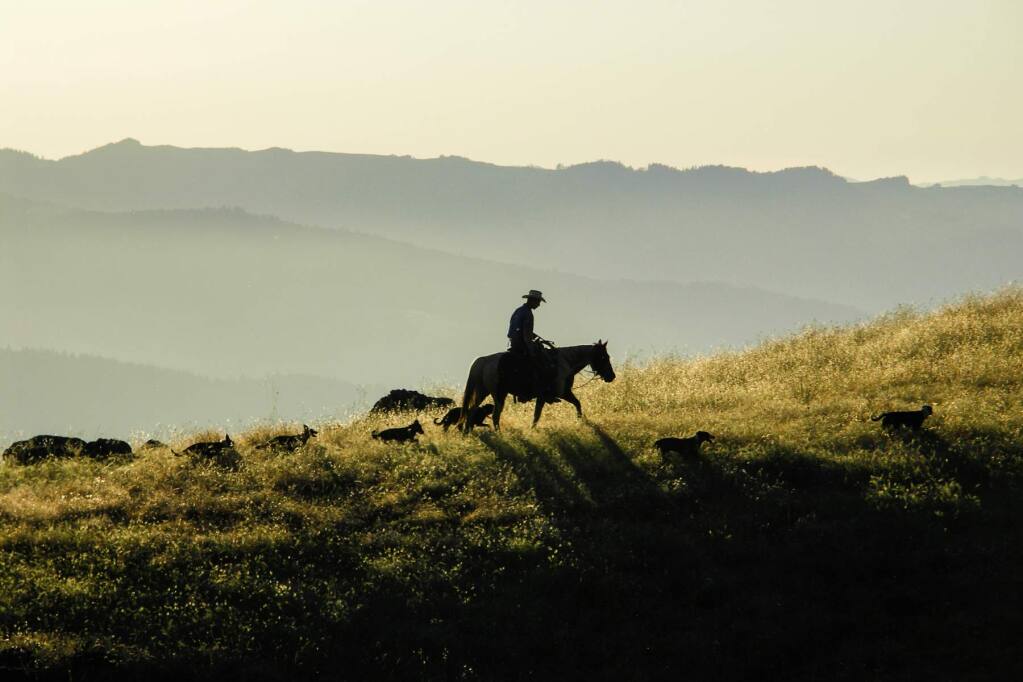 Stock market titan Dean Witter's 27,000-acre ranch north of the Round Valley Indian Reservation is on the market for $31 million. The property spans Mendocino and Trinity counties, and is practically the size of San Francisco. (Photo: Brooks Witter)