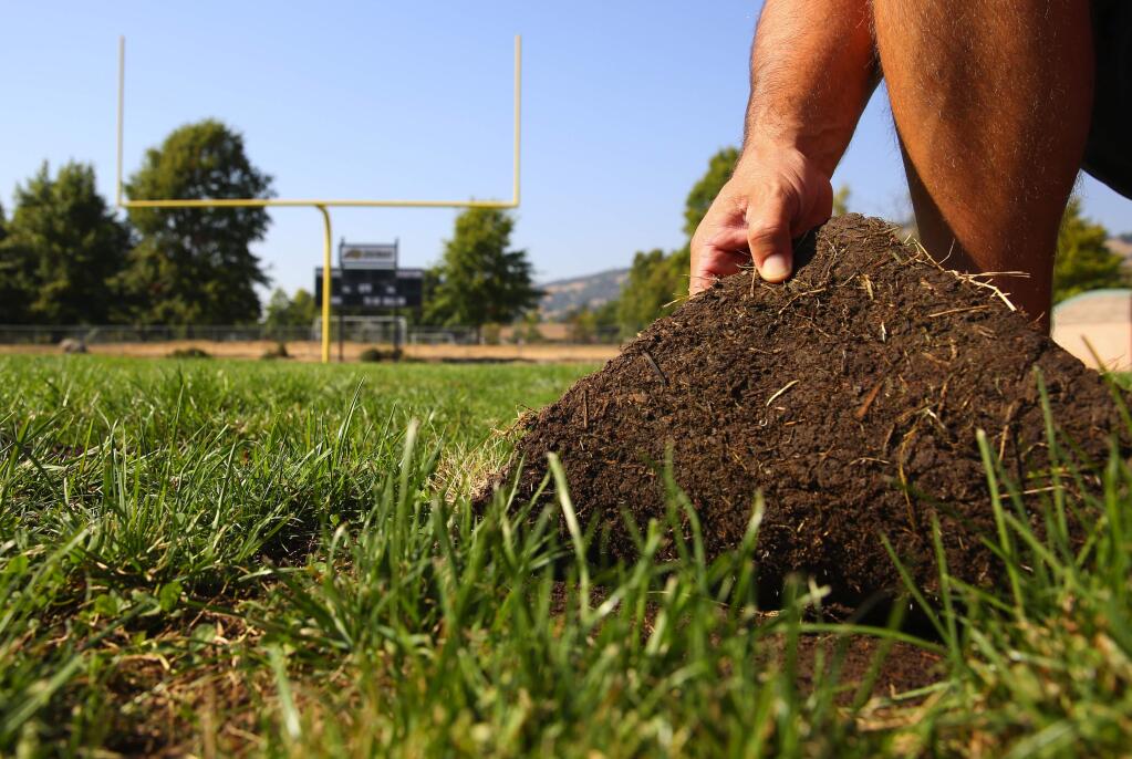 Maria Carrillo head football coach Jay Higgins holds up a loose segment of sod that was laid down to repair the school's athletic field, in Santa Rosa, on Tuesday, September 6, 2016. (Christopher Chung/ The Press Democrat)