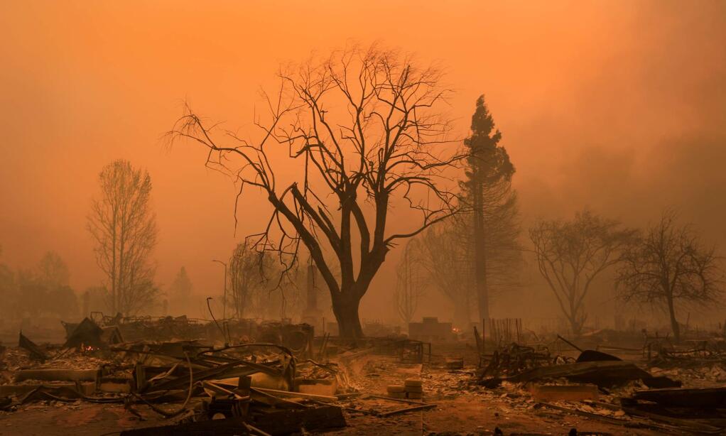 Sunrise turns the smoke an eerie color at incinerated Coffey Park in Santa Rosa after the Tubbs fire roared through the neighborhood, Monday, Oct. 9, 2017. (KENT PORTER/ PD)
