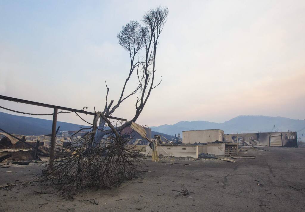 Rebuilding the damage caused by the October fires could take years, estimate local authorities.