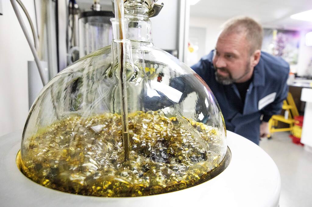 Stefan Shumaker oversees the bubbling cannabis oil as it moves through the process of extracting impurities at CannaCraft in Santa Rosa on Thursday. (photo by John Burgess/The Press Democrat)