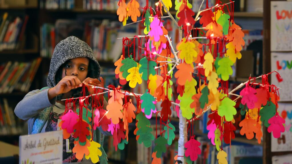 Layla Shibeshi, 9, hangs a leaf on the Gratitude Tree at the Coddingtown branch of the Sonoma County Library. (JOHN BURGESS / The Press Democrat)