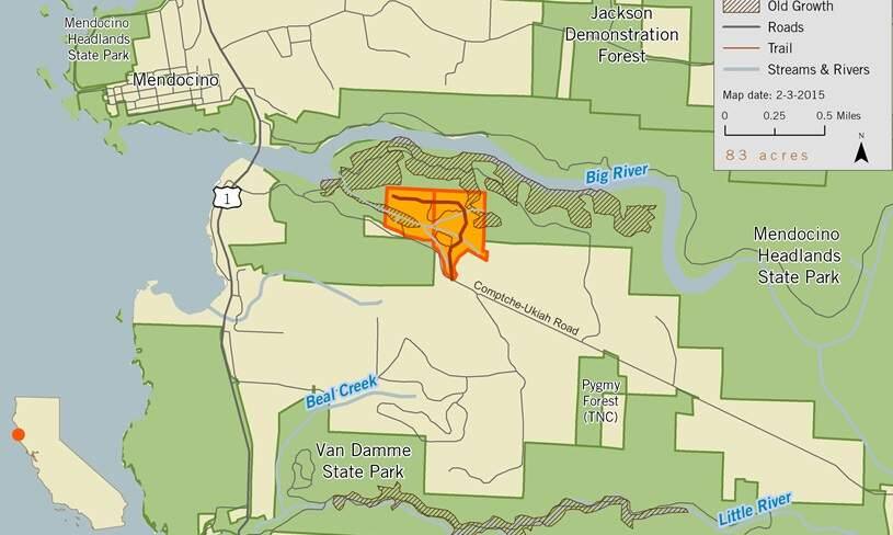 Save the Redwoods League has acquired 83 acres of forest land in Mendocino County. The parcel is highlighted in orange. ((Image courtesy of Save the Redwoods League)