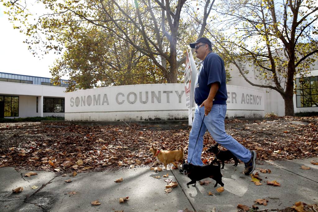 Juan Alfaro walks his dogs past 2150 W. College Ave., the former Sonoma County Water Agency campus, in Santa Rosa, on Monday, November 2, 2015. (BETH SCHLANKER/ The Press Democrat)