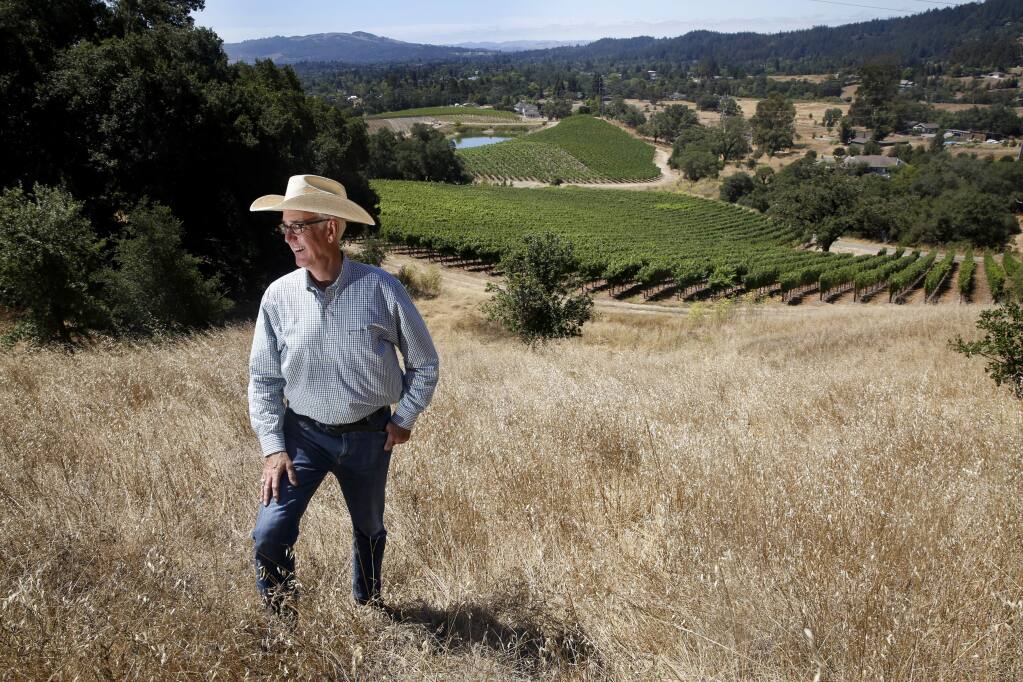 Dick Keenan, the owner of Kick Ranch, at his vineyard in Santa Rosa, on Monday, August 3, 2015 .(BETH SCHLANKER/ The Press Democrat)