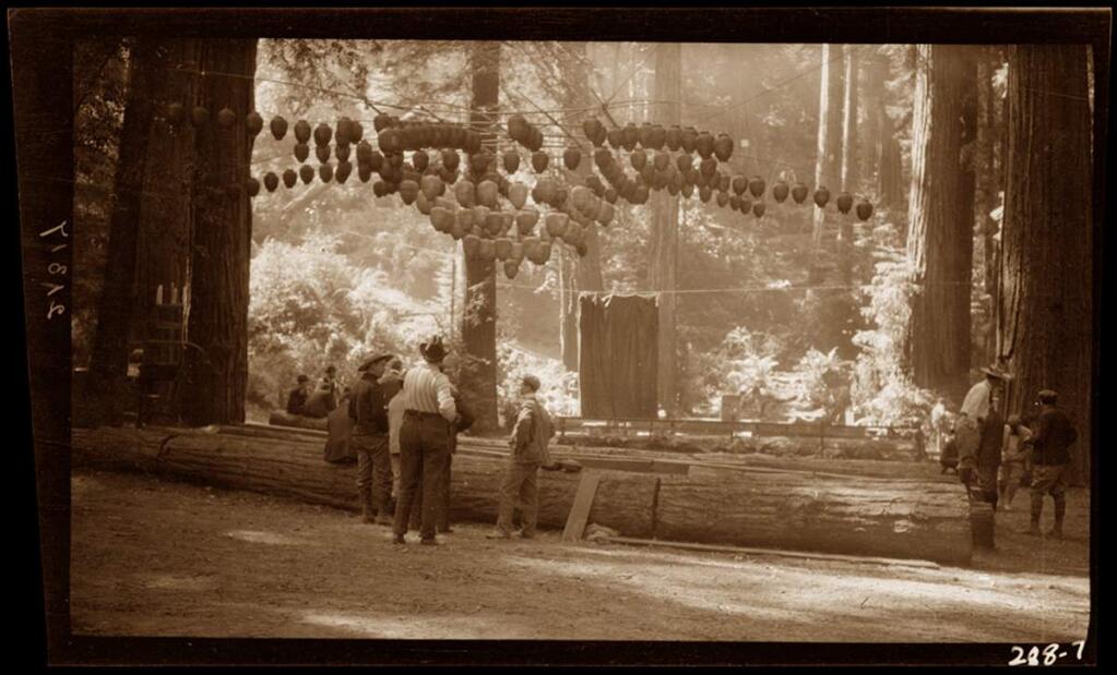 Man and woman stand on a fallen log at the Bohemian Grove, before 1916. London was a camper at this artists' and writers' encampment along the Russian River in 1904. (California State Parks, 2016)