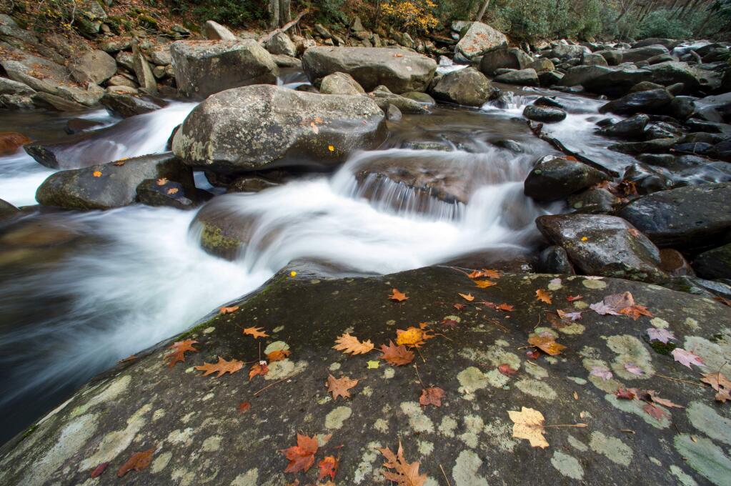 FILE - In this Nov. 5, 2015, file photo, the West Prong Little Pigeon River flows over rocks dotted with fall foliage in the Great Smoky Mountains National Park, Tenn. The National Park Service is celebrating its 100th birthday on Thursday, Aug. 25, 2016. (Adam Lau/Knoxville News Sentinel via AP, File)