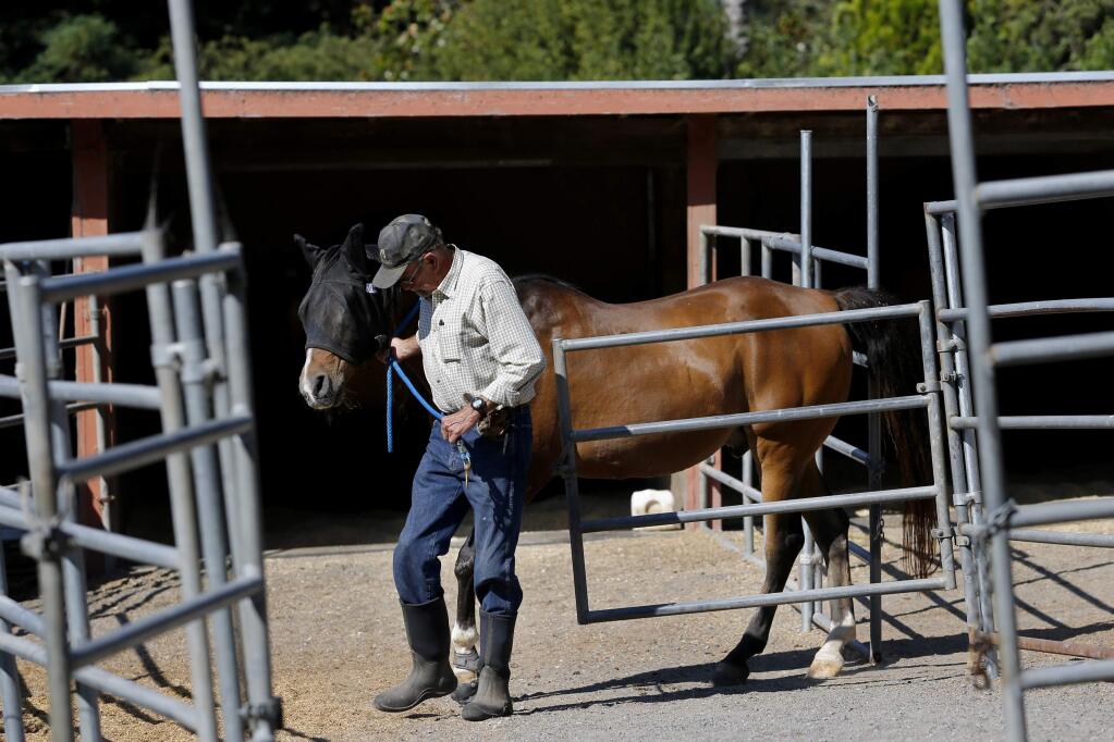Don Hendrix walks his horse, Cole, out to the pasture at his Bennett Valley property south of Santa Rosa, on Monday, July 13, 2015. (BETH SCHLANKER/ The Press Democrat)