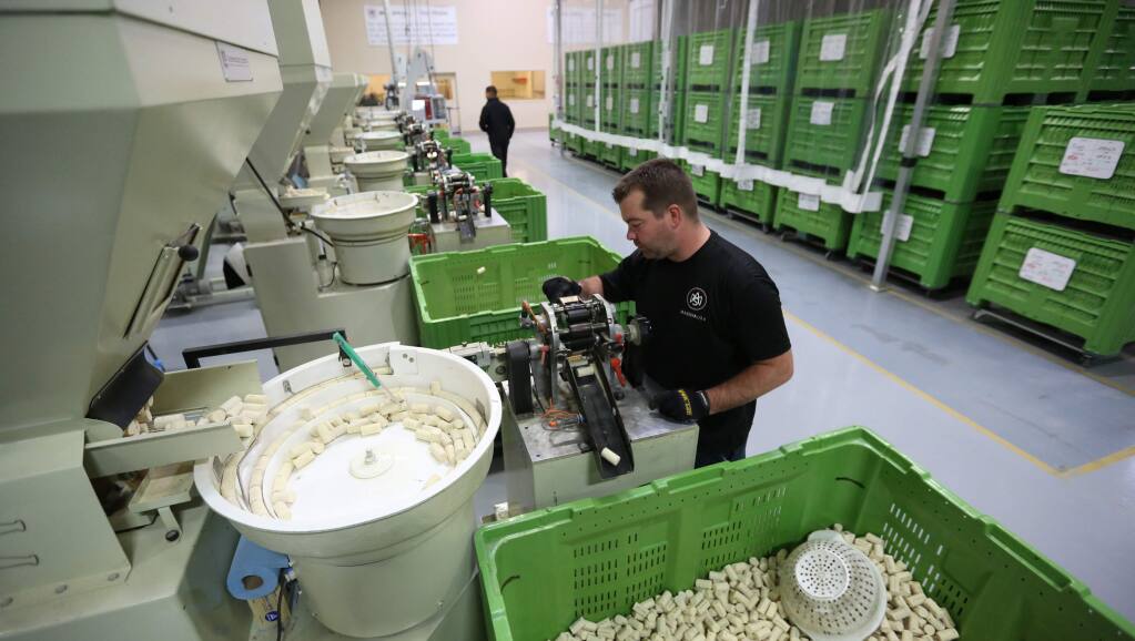 Caden Gandt, does quality control on corks at M. A. Silva USA, a cork manufacturer in Santa Rosa, Wednesday, February 18, 2015. (CRISTA JEREMIASON / The Press Democrat)