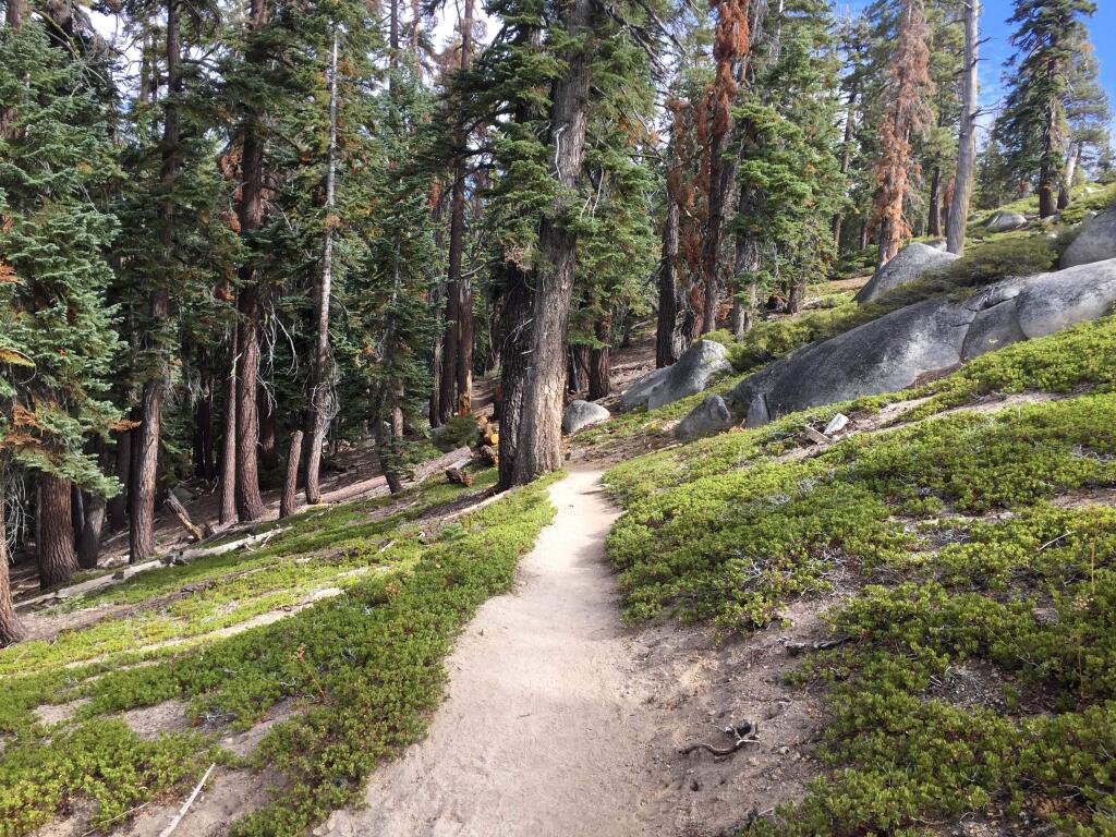 This Sept. 29, 2018 photo shows an off-the-beaten path trail in Yosemite National Park leading to North Dome, which provides jaw-dropping views of the more famous Half Dome. (AP Photo/Amanda Lee Myers)