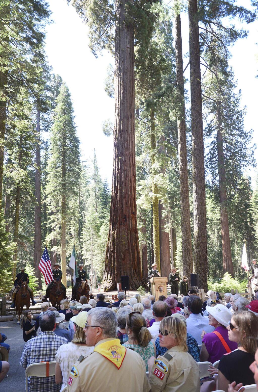 File - In this June 30, 2014 file photo, a giant sequoia in the Mariposa Grove serves as a backdrop for the Yosemite Grant sesquicentennial ceremony at Yosemite National Park, Calif. Yosemite National Park says the largest sequoia grove is ready to open to the public after crews completed a restoration project to protect the nearly 500 ancient trees. Park officials say Mariposa Grove, a 4-acre (1.50-hectare) habitat of the towering reddish-brown trees, will open Friday, June 15, 2018, after being closed for three years. (Craig Kohlruss/The Fresno Bee via AP, File)