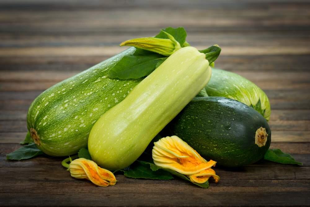 Zucchini can suffer from powdery mildew in the garden, but there are ways to prevent it and get beautiful squash like this. (The Press Democrat, file)