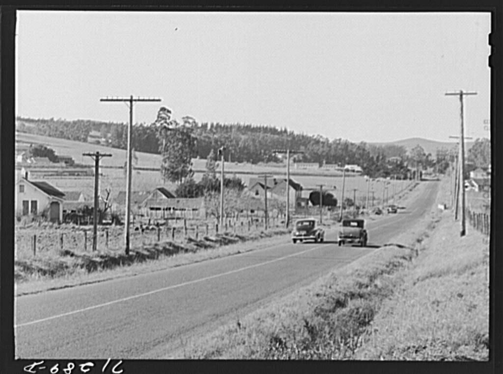Yale released a database of 170,000 Depression-era photos in America. See all of them at website: photogrammar.yale.edu/map. These are photos taken during that time in Sonoma County. Highway through the chicken ranch country, Petaluma. January 1942. (Russell Lee / Yale Photogrammar)