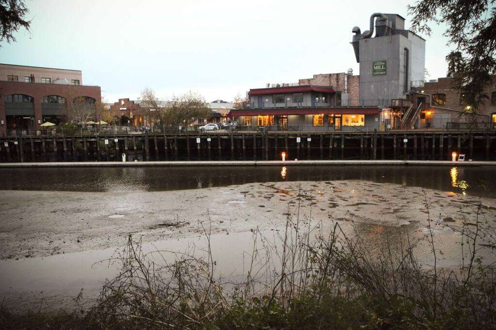 The turning basin of the Petaluma River at low tide. The city was unable to secure funds to dredge the river.(CRISTINA PASCUAL/ARGUS-COURIER STAFF)