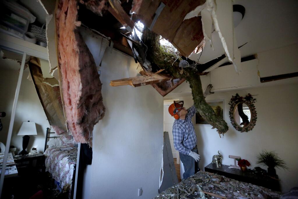 Eric Muller inspects damage to the home of his neighbor Aureliano Perez after a tree fell just before noon, crushing two vans and punching through the roof of the Lucas Ave residence in Sonoma, California on Sunday, February 9, 2020. (BETH SCHLANKER/The Press Democrat)