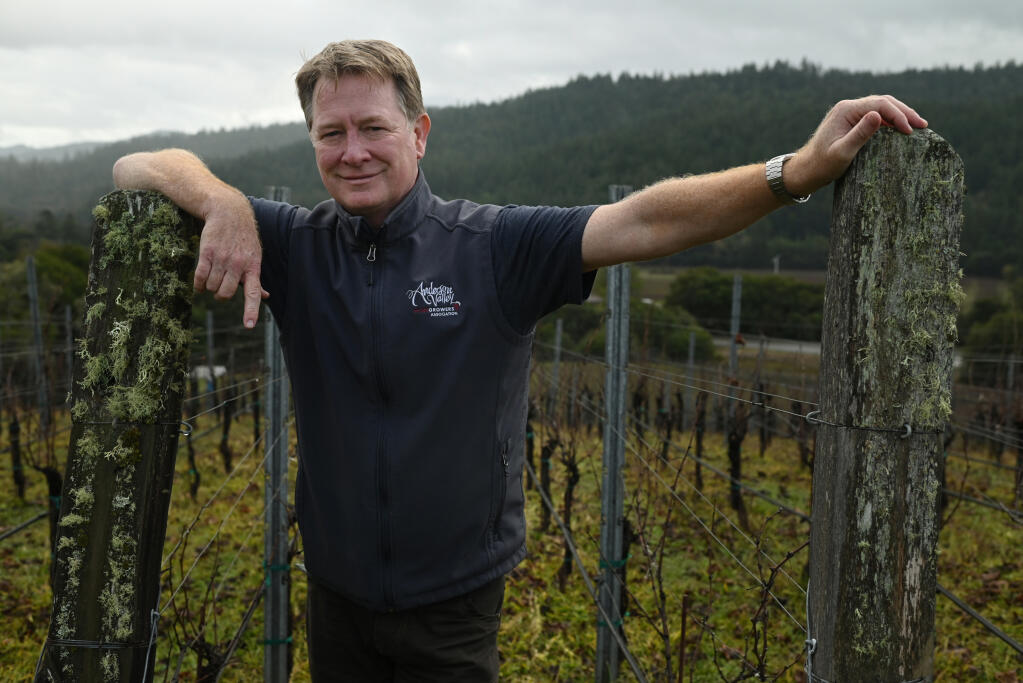 Douglas Stewart, winemaker and owner of Lichen Estate, stands among the vines at the Lichen Estate vineyard in Boonville, Thursday, Nov. 30, 2023. Stewart just repurchased his old winery, Breggo Cellars, which he sold in 2009. (Erik Castro / For The Press Democrat)