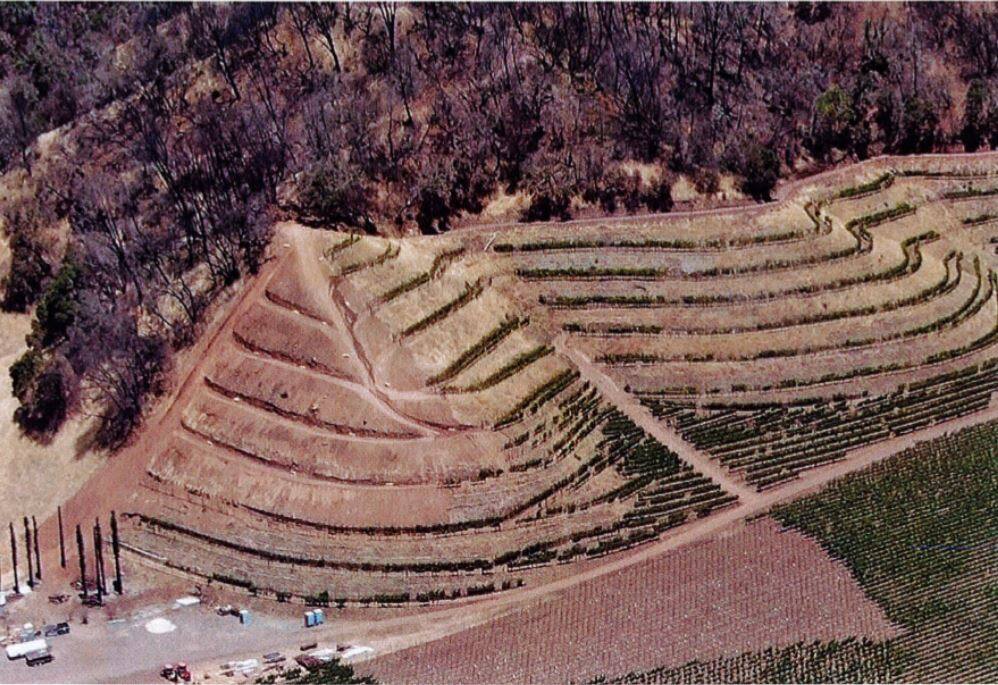 In this aerial photo included in a notice of violation issued by Sonoma County Department of Agriculture/Weights and Measures, alleged unpermitted terracing on the left side of the image appears to closely match similar terracing on the right. (Department of Agriculture/Weights and Measures)