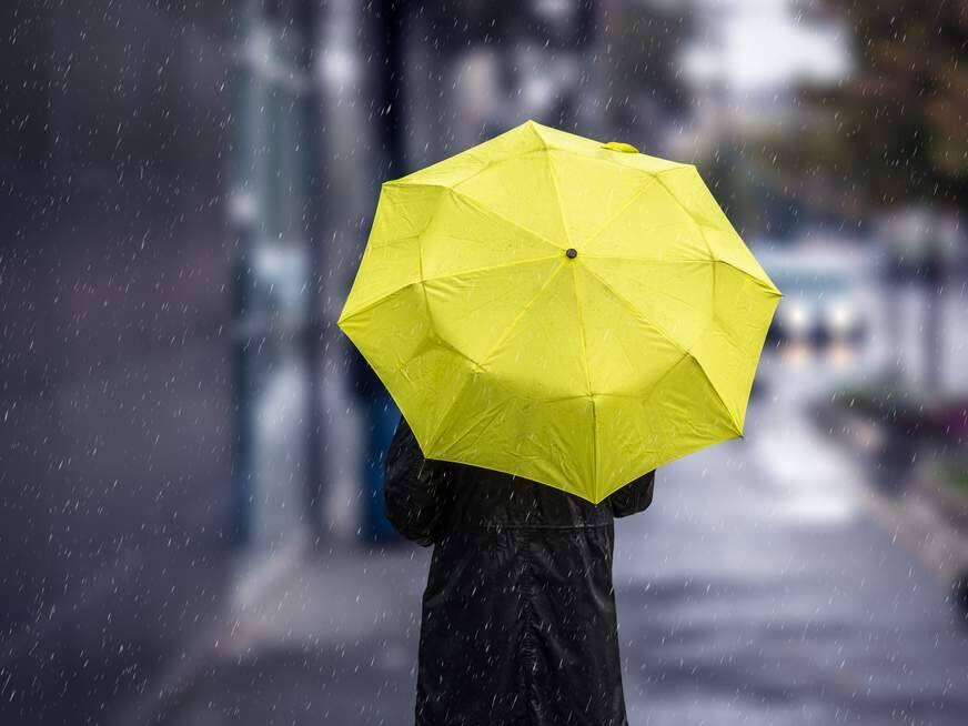There were few opportunities for umbrellas this winter, as Sonoma Valley has only received 10.26 inches of rain, down 20 percent from the previous year, which was also considered dry.