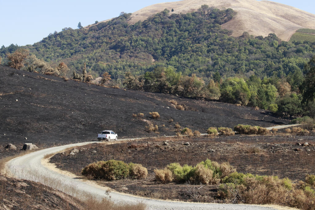 A State Parks ranger drives down the Stern Trail in Sugarloaf Ridge State Park, following the Shady/Glass Fire of Sept-Oct 2020, Sonoma County.  (Christian Kallen/Index-Tribune)