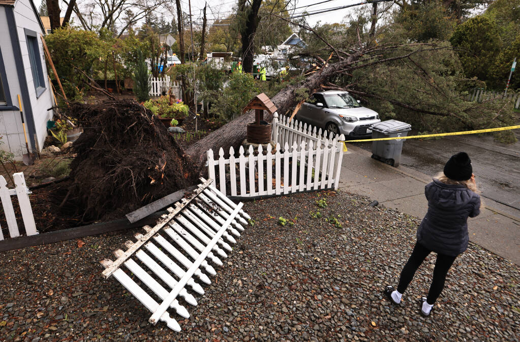 Helena Zappelli talks with her insurance company on the phone as she surveys the damage to her yard and vehicle after a large tree fell over, Tuesday, March 21, 2023, on Humboldt Street in Santa Rosa. (Kent Porter / The Press Democrat) 2023