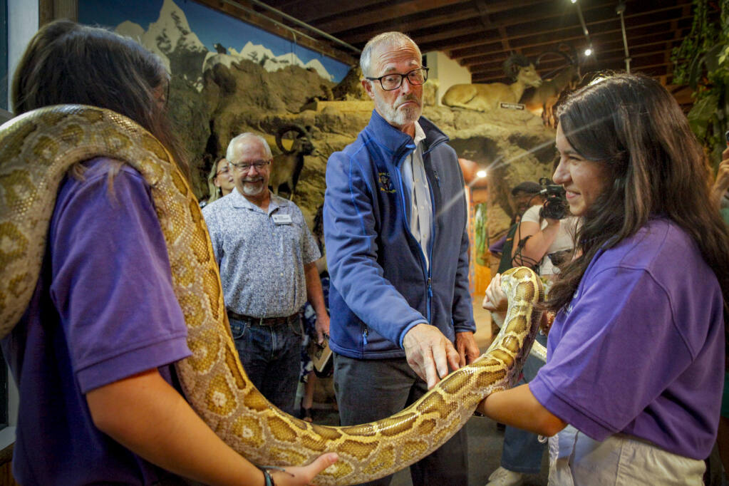 During a visit to Petaluma High School, Congressman Jared Huffman took a tour of the school’s Wildlife Museum on Wednesday, August 23, 2023. Here he touches Kiara, an 11-foot Burmese snake, held by student docents Molly Smith and Isabella Prandi, while Petaluma Mayor Kevin McDonnell looks on. (CRISSY PASCUAL/ARGUS-COURIER STAFF)