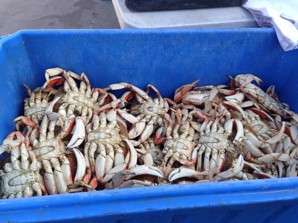 Fresh Dungeness crabs may not be around all winter, so enjoy them while you can. (Michele Anna Jordan)
